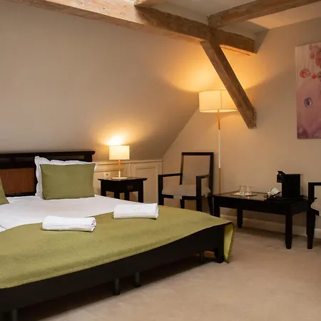 Hirscher Loft Daire Braşov