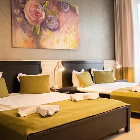 Hirscher Loft Apartment Brasov