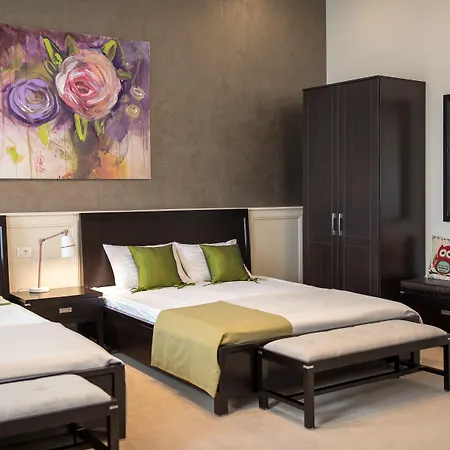 Appartement Hirscher Loft Braşov