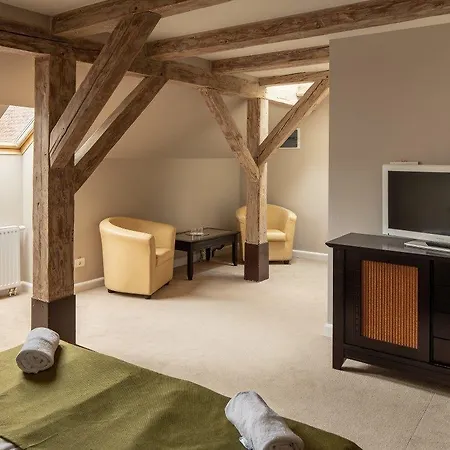 Apartment Hirscher Loft Brasov