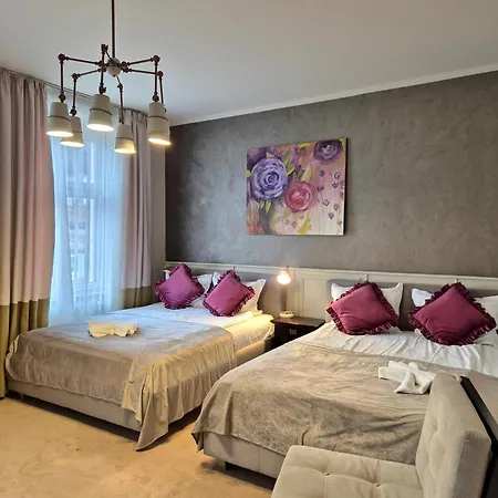 Hirscher Loft * Brasov
