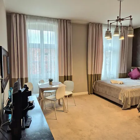 Hirscher Loft Apartment Brasov