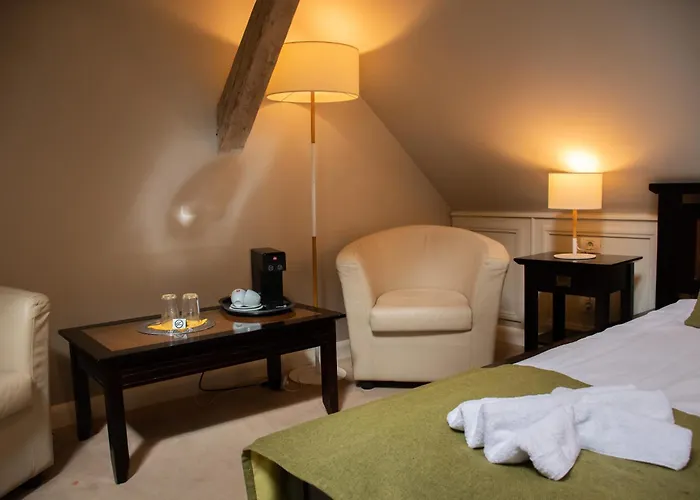 Hirscher Loft Brașov