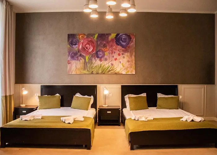 Hirscher Loft Apartment Brasov