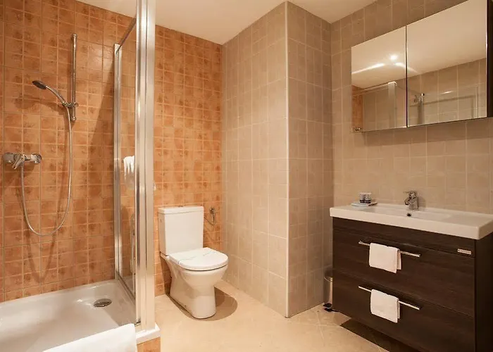 Hirscher Loft Brasov